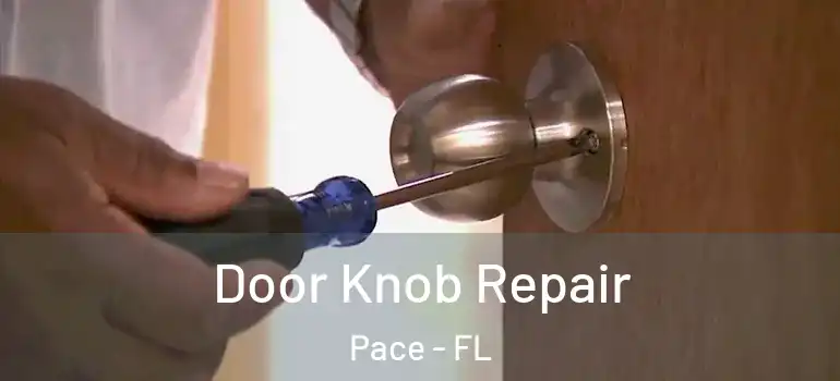  Door Knob Repair Pace - FL