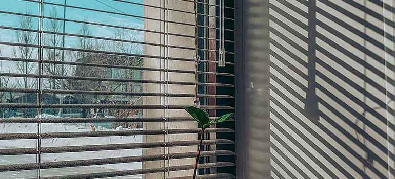 Commercial Window Blinds in Pace, FL