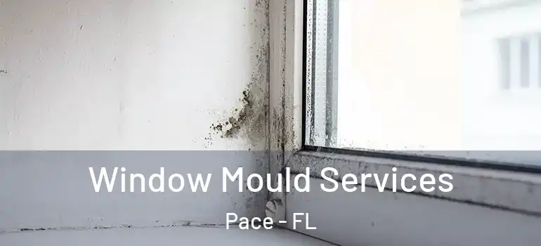  Window Mould Services Pace - FL